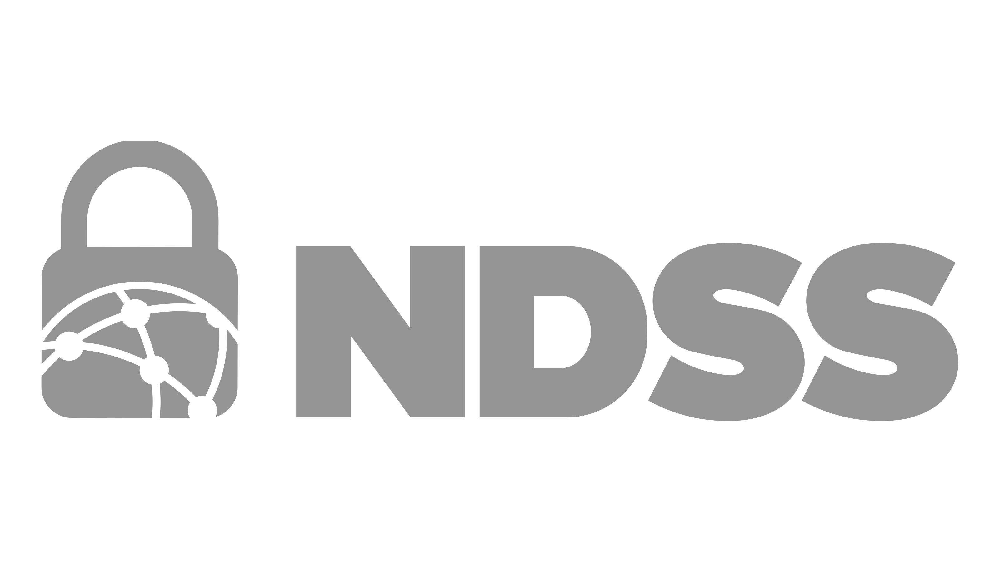 NDSS Logo