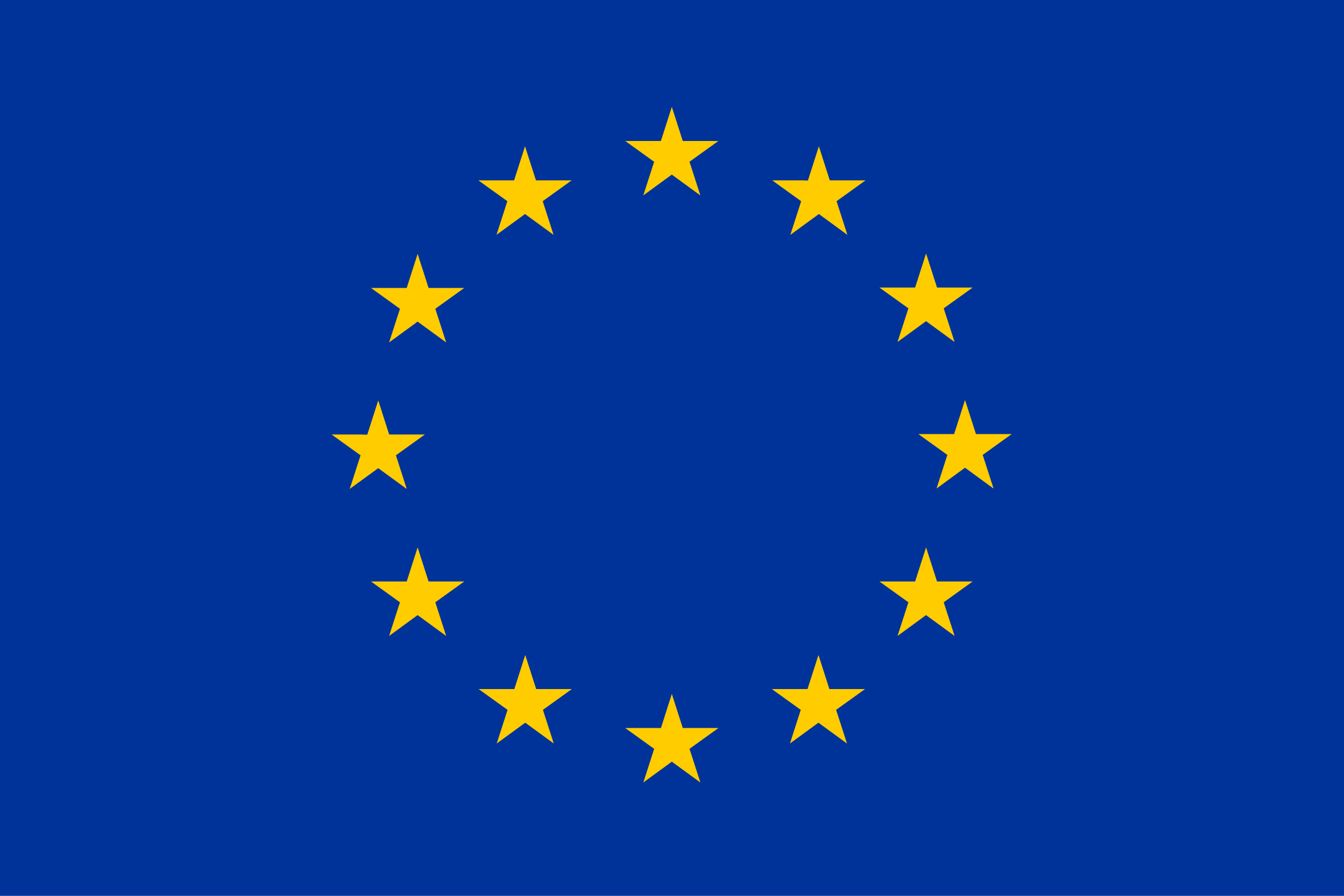 EU Flag Logo